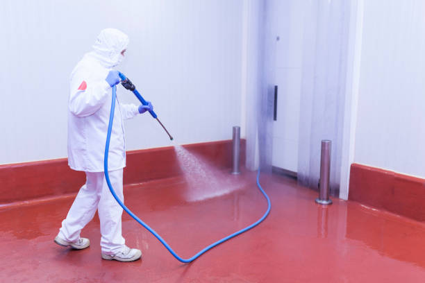 Best Sidewalk and Walkway Cleaning  in New Kensington, PA